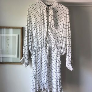 Zara Polka Dot Dress